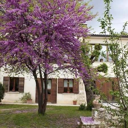 B&B Alte Paderno del Grappa Kültér fotó
