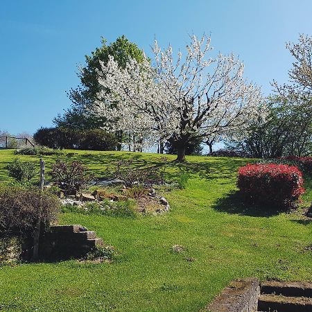 B&B Alte Paderno del Grappa Kültér fotó