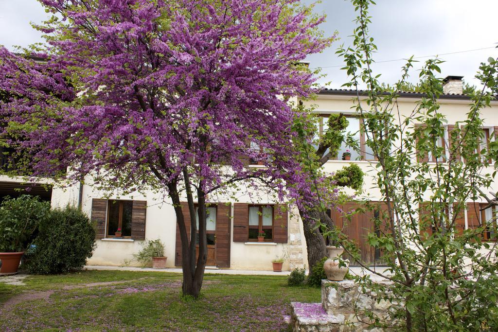 B&B Alte Paderno del Grappa Kültér fotó